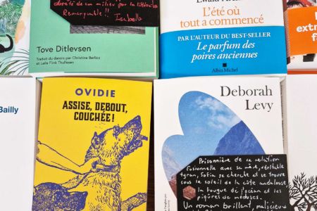 boutique-communication-librairie-la-ruche-enseigne-9