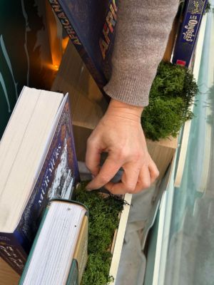 Conceptvitrine-merchandising-noel2025-laruche-sweetpea-10